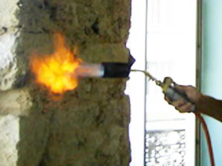 traitement thermique mérule chalumeau