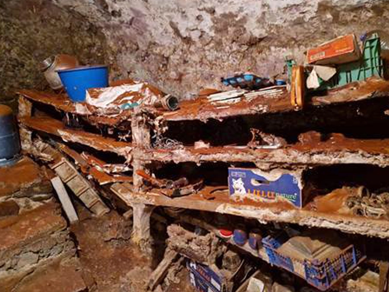 poussière orange mérule spores